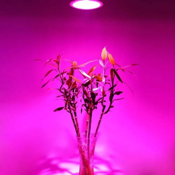 Lampara Par 38 LED Growlamp - 180 Iluminación - Image 2