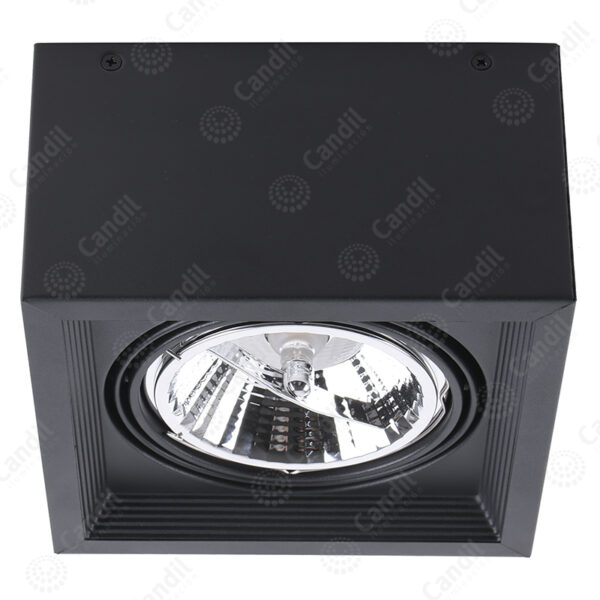 Plafon Ecua 1xAR111 - Color Negro - Candil
